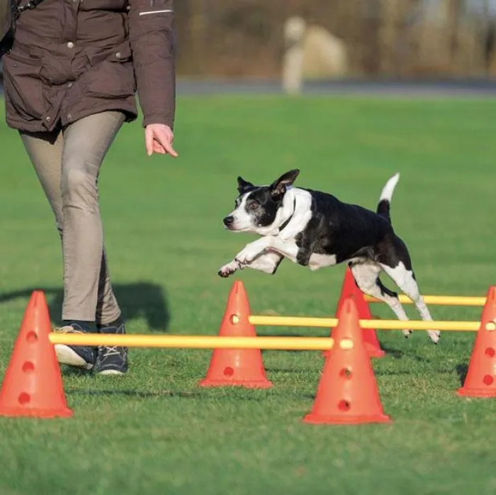 Trixie Hundetræning Og Klikker>Agility Forhindringssæt |