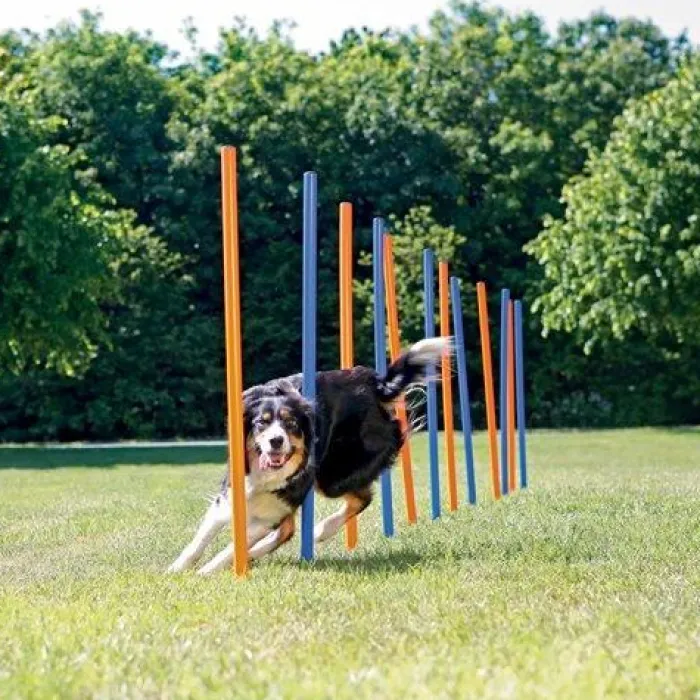 Trixie Hundetræning Og Klikker>Agility Slalompinde |