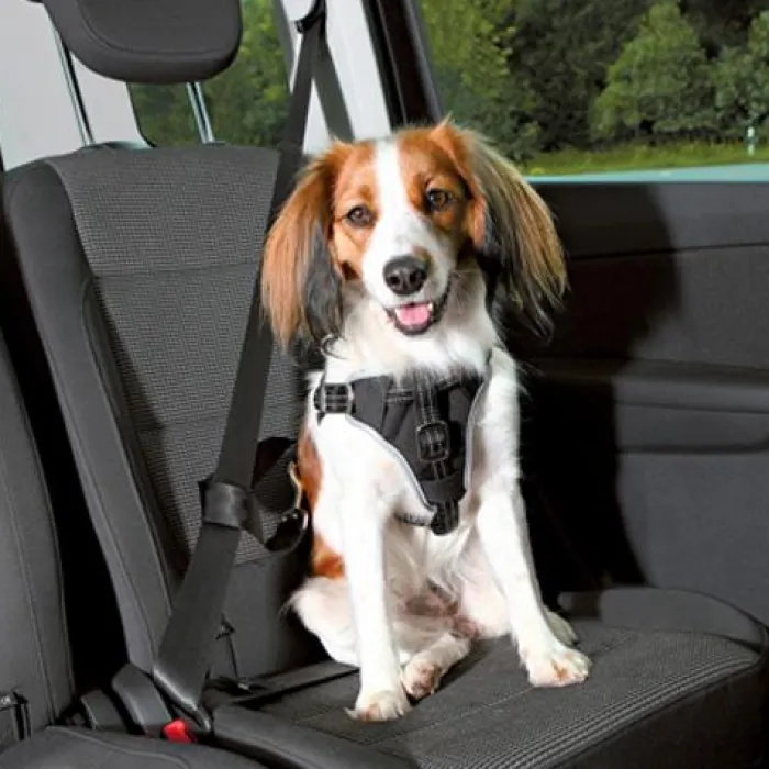 Trixie Hundeseler | Biltransport Af Hund>Bilsele | Dog Protect Sikkerhedssele | OUTLET