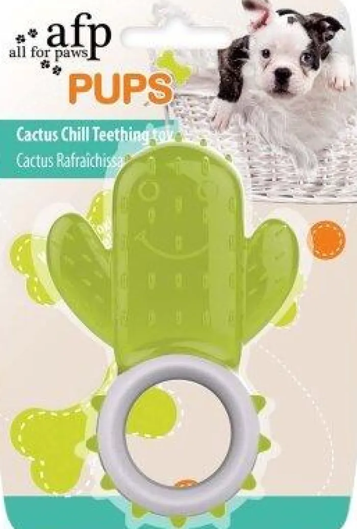 All For Paws Nyfødte Hvalpe 0-8 Uger | Hvalpelegetøj>Cactus Chill Teething Toy | AFP Hundeis