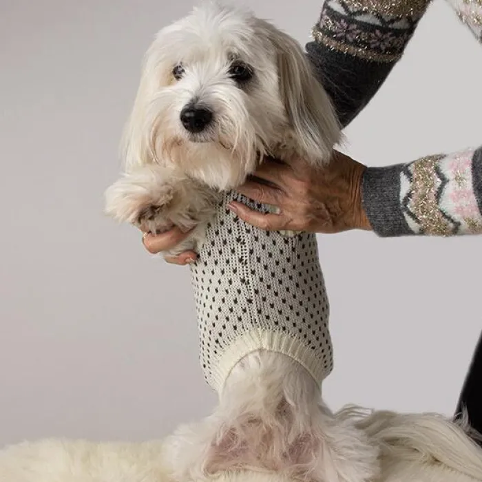 Ollipet Hundetøj>Comfy Hundesweater Med Poteaftryk