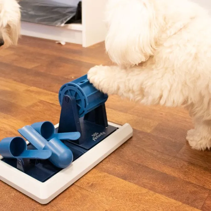 Trixie Aktivitetslegetøj Til Hunde | Trixie Hundelegetøj>Dog Activity Poker Box Vario 2 |