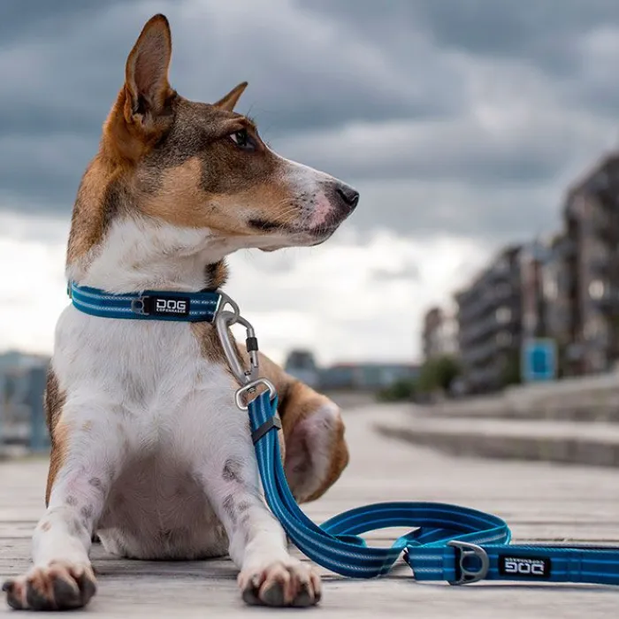 Dog Copenhagen Hundesnor> Urban Freestyle Hundesnor