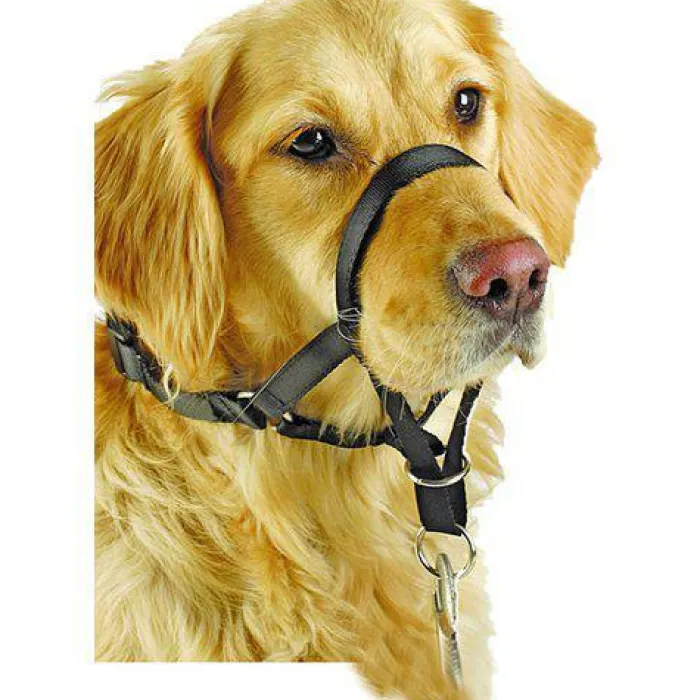 Pawise Hundeseler>Dog Head Collar | Snudesele