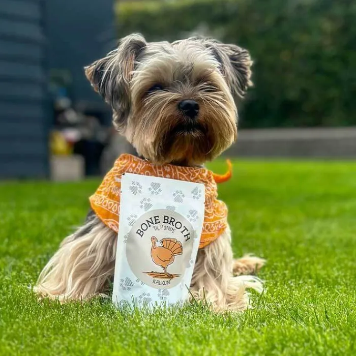 Hokuo Helse Til Hunde | Godbidder Og Gnaveben>Hokuō™ Bone Broth | Kalkun, 100ml