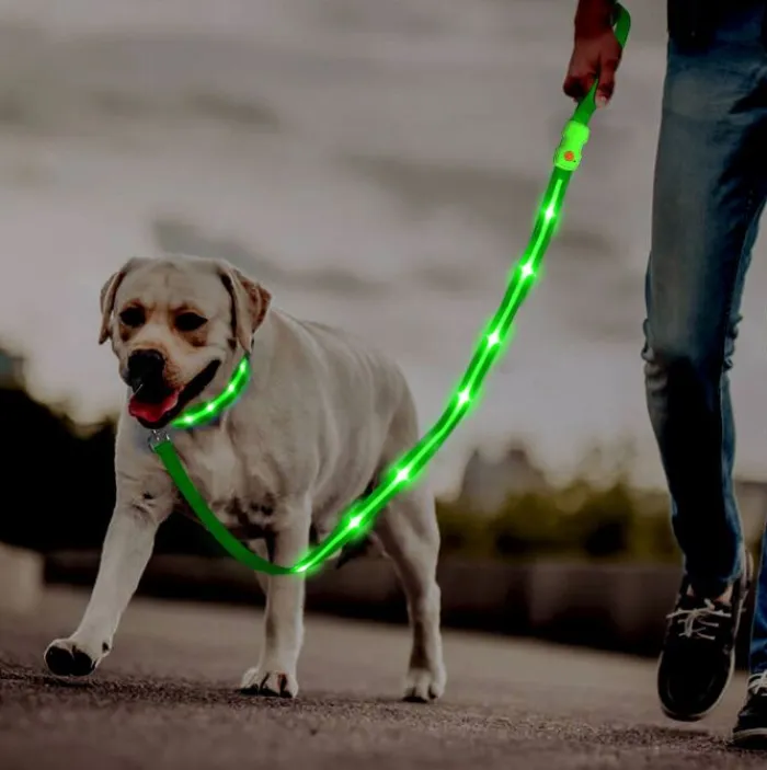 Cotonshoppen Hundesnor>Hundesnor Med LED-lys | Genopladelig