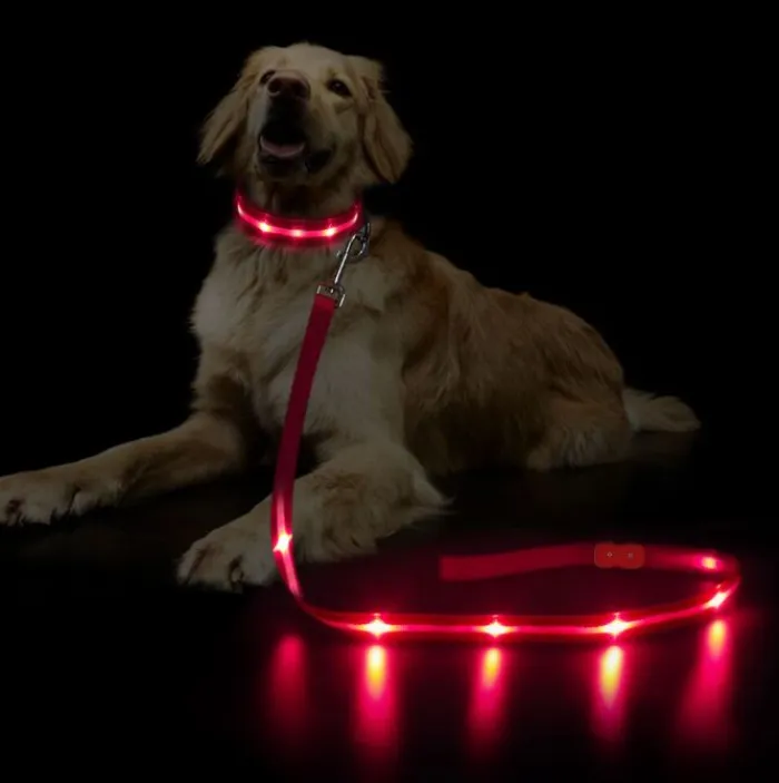 Cotonshoppen Hundesnor>Hundesnor Med LED-lys | Genopladelig