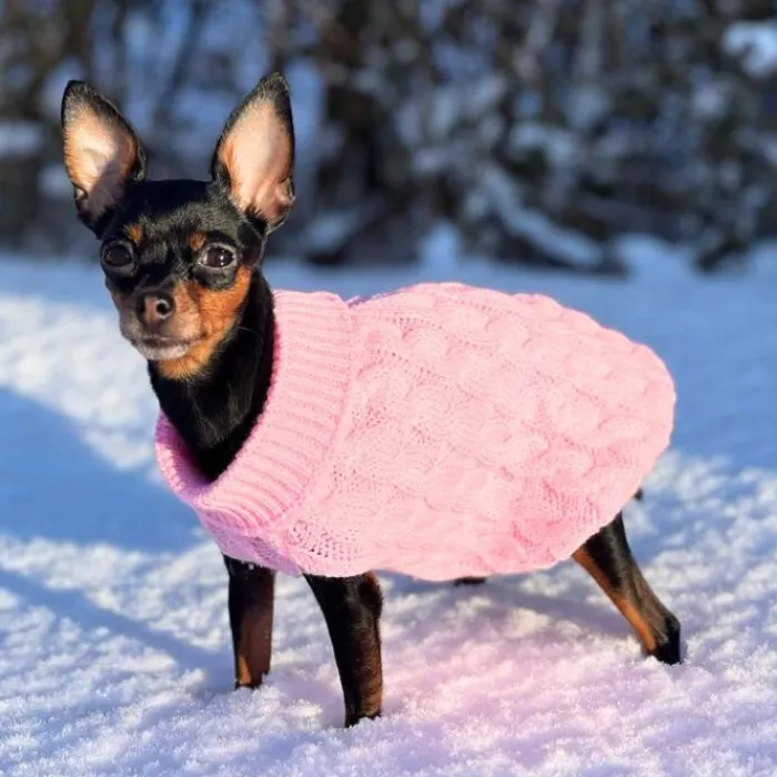 Ollipet Hvalpetøj | Hundetøj>Hundesweater | Brede Snoninger | OUTLET