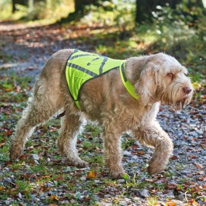 Hunter Led Lys Og Refleks> Refleksvest Til Hund