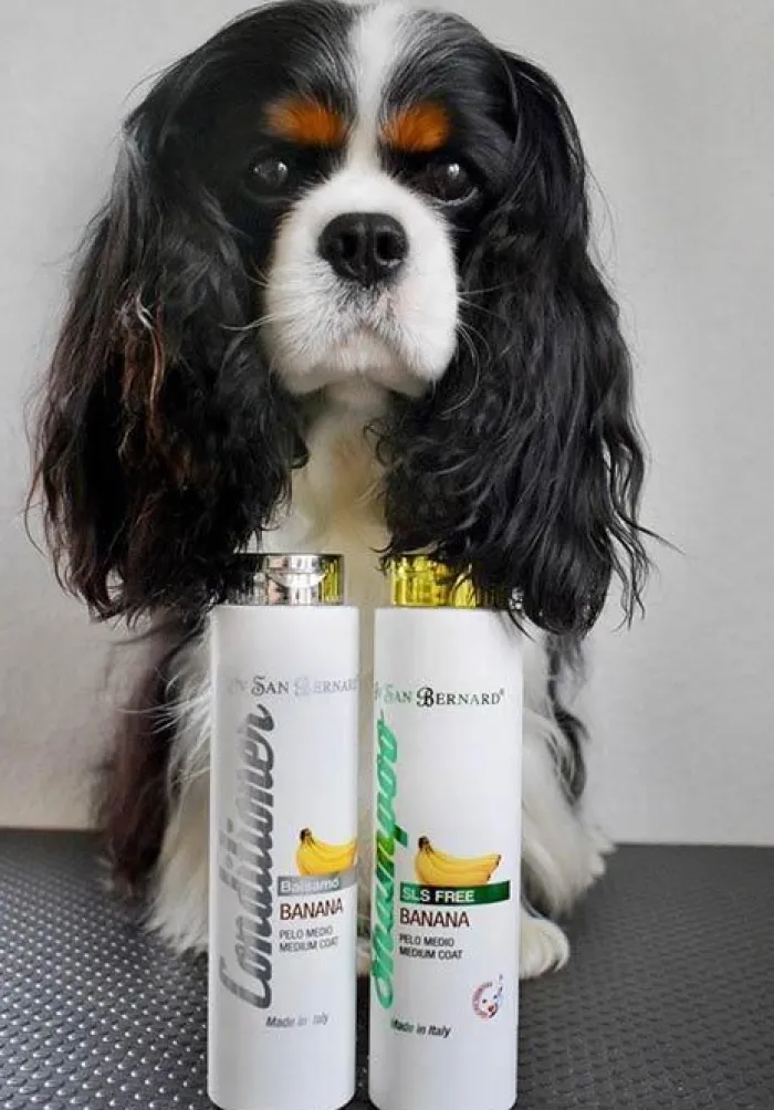 Iv san Bernard Hundeshampoo Og Hundebalsam> Banan Conditioner