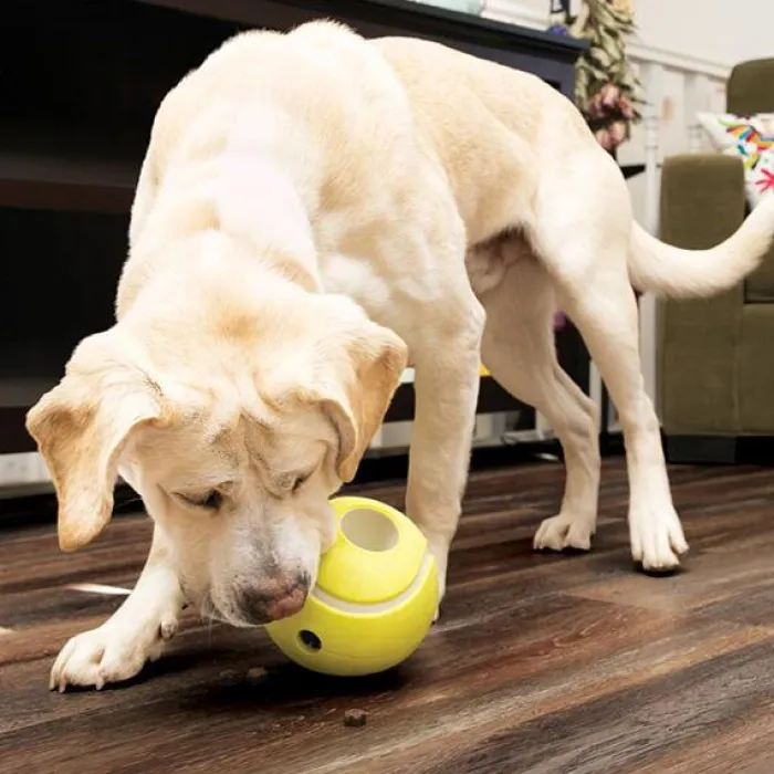 KONG Aktivitetslegetøj Til Hunde | Bolde> Rewards Tennis