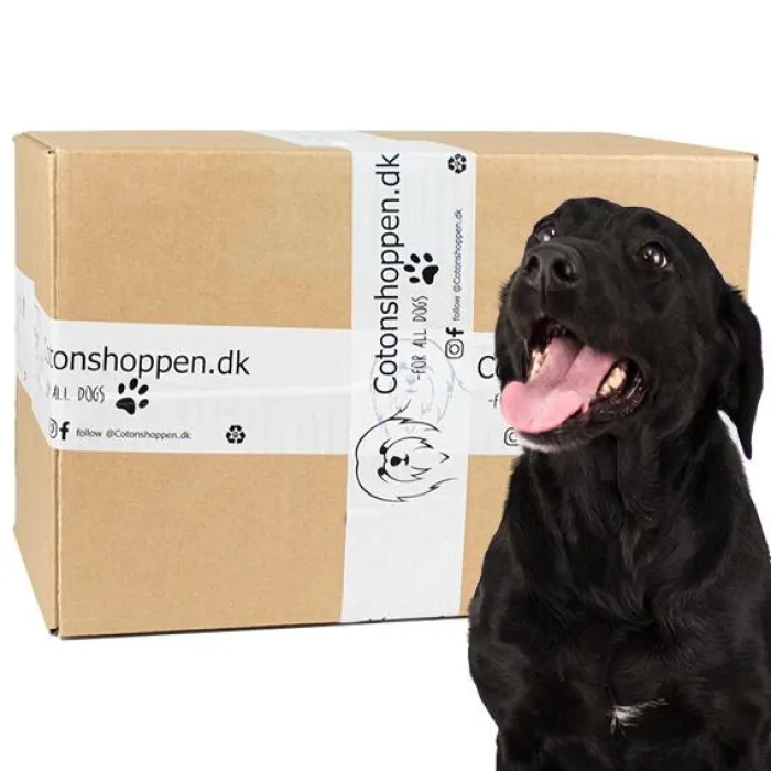 Cotonshoppen Doggy Surprise Box>Large Breed Surprise Box Z1