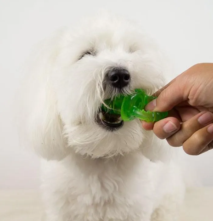 All For Paws Til Opdrættere | Hvalpelegetøj>Little Buddy Hvalpesut | AFP