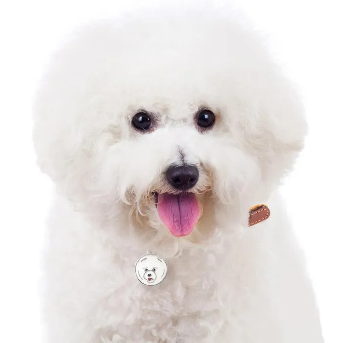 MyFamily Hundetegn>My Family | Hundetegn Bichon Fricé