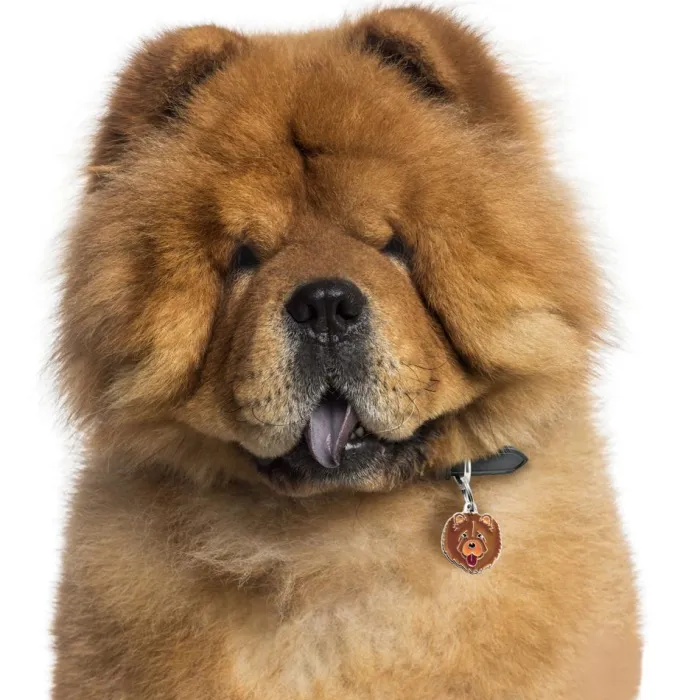 MyFamily Hundetegn>My Family | Hundetegn Chow Chow