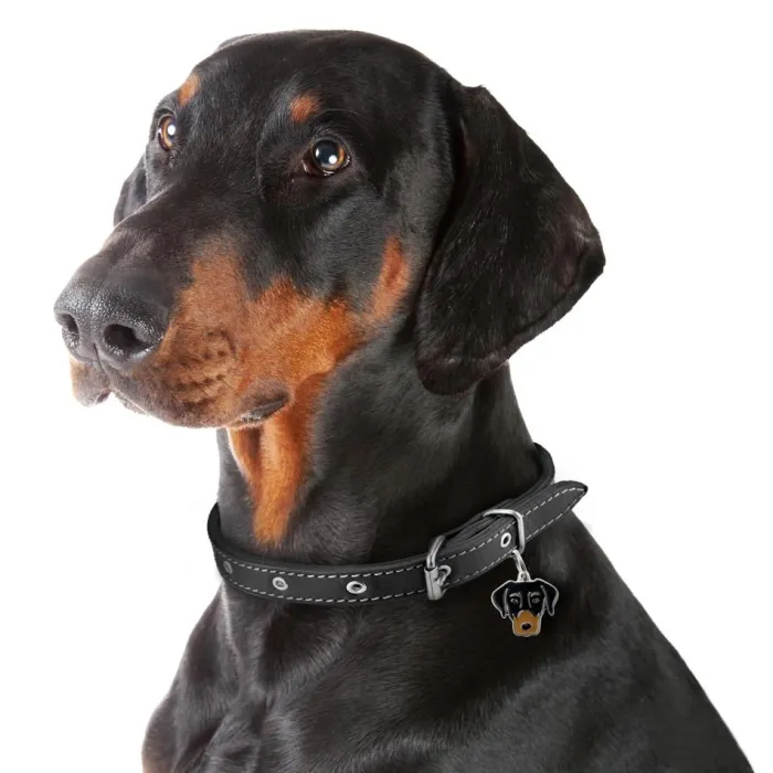 MyFamily Hundetegn>My Family | Hundetegn Dobermann