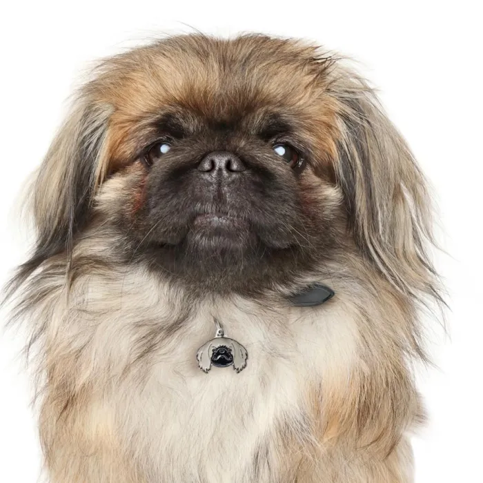 MyFamily Hundetegn>My Family | Hundetegn Pekingeser