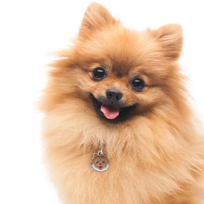 MyFamily Hundetegn>My Family | Hundetegn Pomeranian