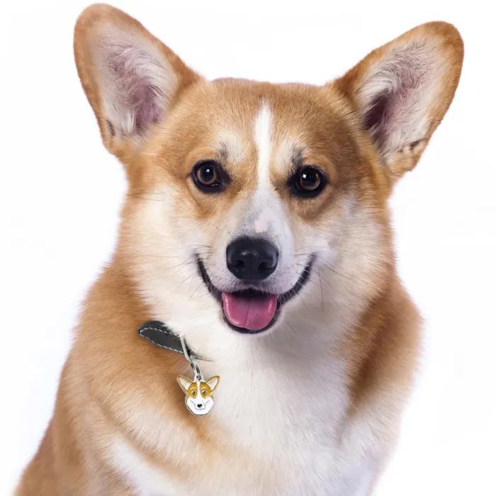 MyFamily Hundetegn>My Family | Hundetegn Welsh Corgi