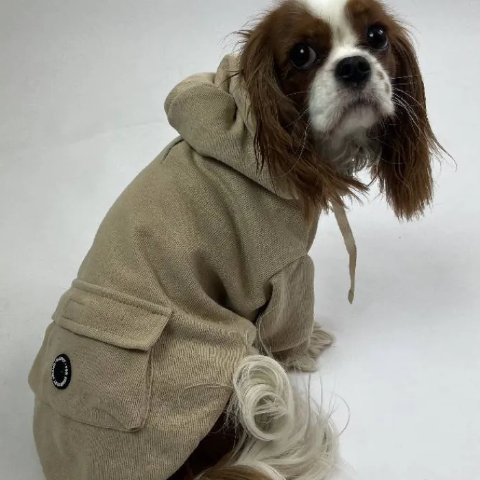 Ollipet Hundetøj> Buddy Hoodie | Sand