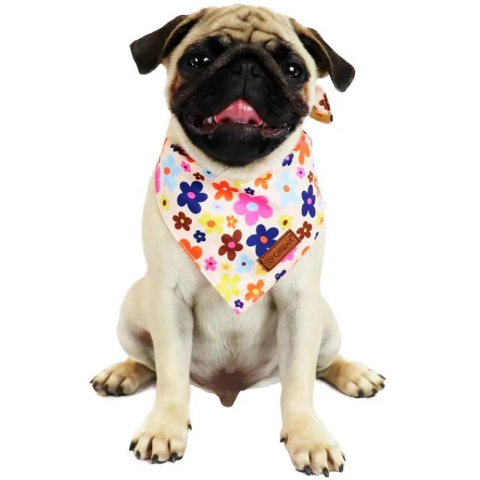 Ollipet Hundetøj | Ollipet City Lux> City Lux Bandana | Sweet Flowers | OUTLET