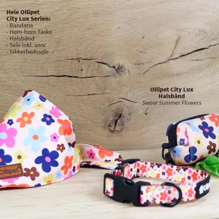 Ollipet Hundehalsbånd | Ollipet City Lux> City Lux Halsbånd | Sweet Flowers | OUTLET