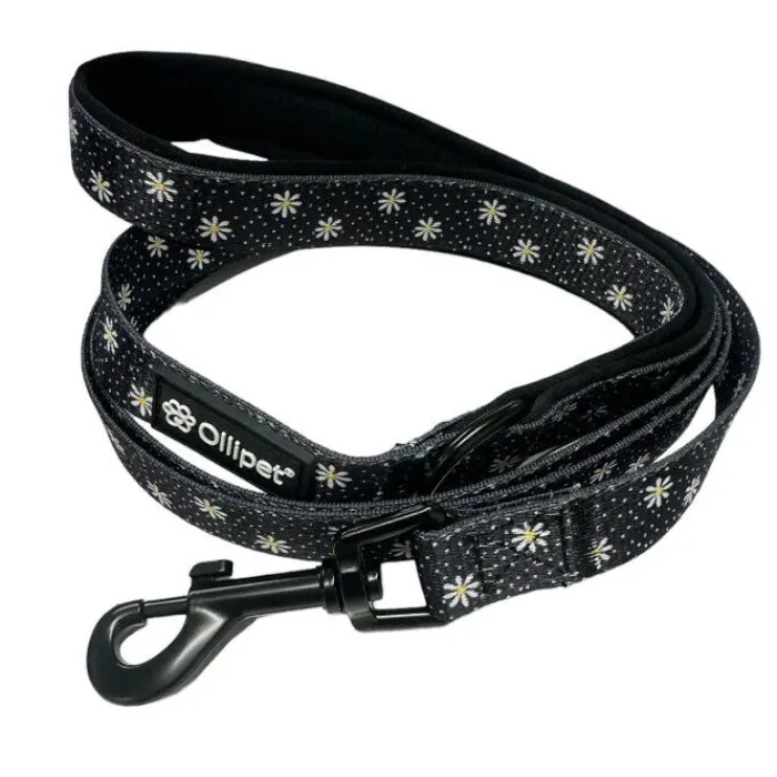 Ollipet Hundesnor | Ollipet City Lux> City Lux Hundesnor | Margueritter