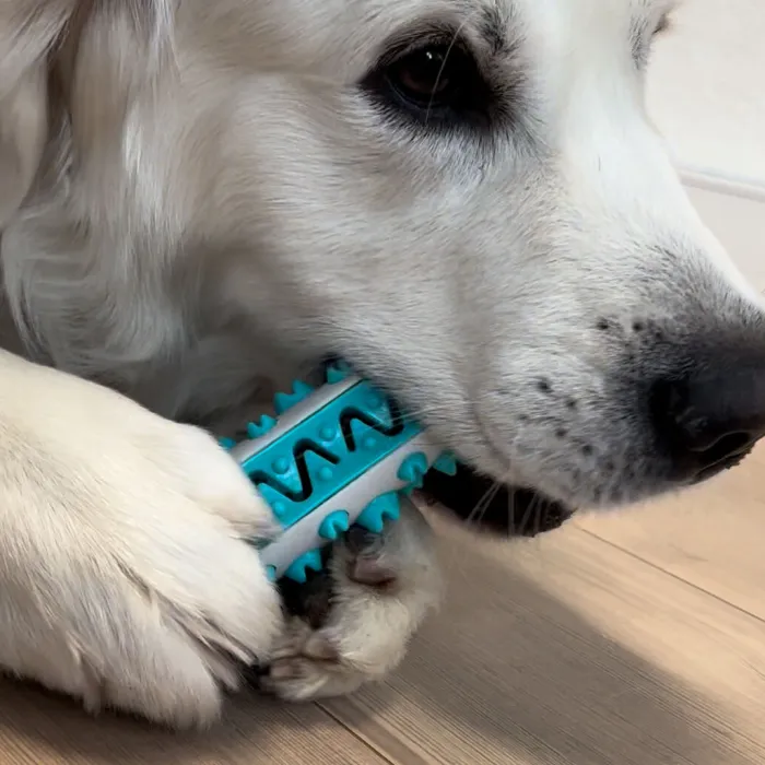 Ollipet Ollipet Hundelegetøj | Aktivitetslegetøj Til Hunde> Dog Toothbrush Activity Stick