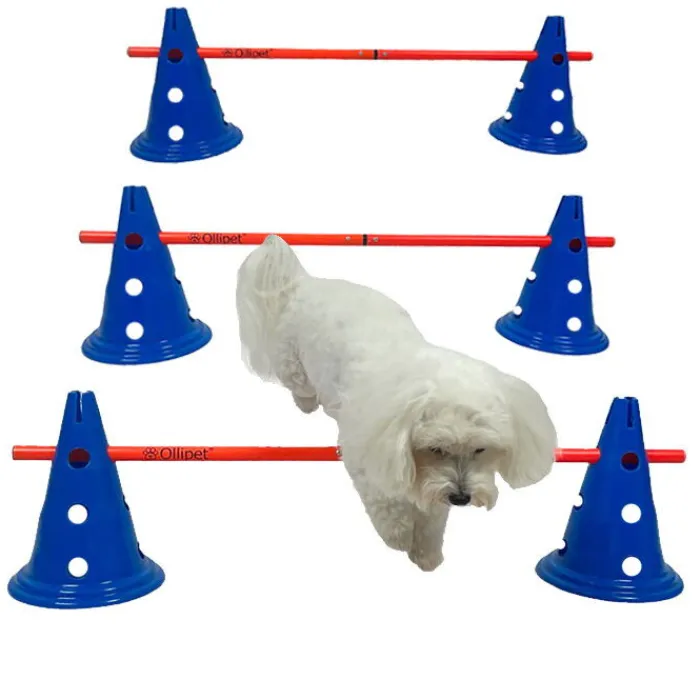 Ollipet Hundetræning Og Klikker> DogFit Agility | Hurdle Cone Set