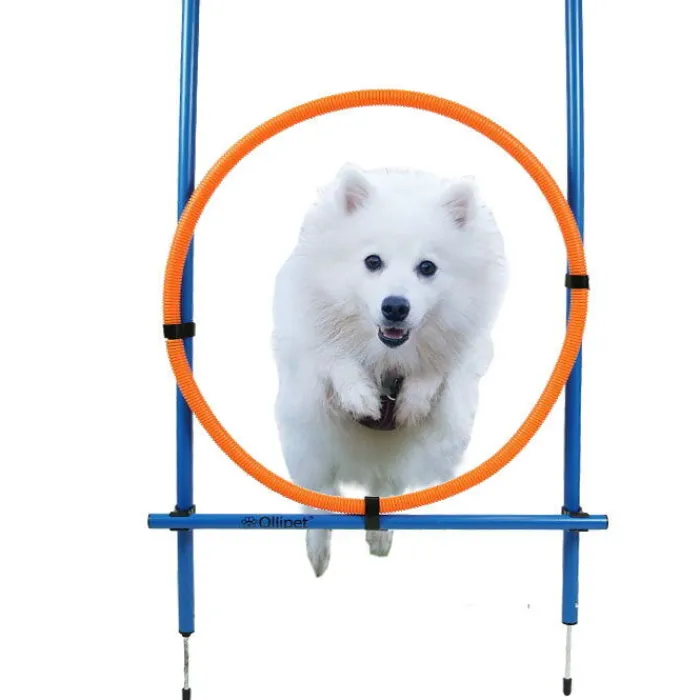 Ollipet Hundetræning Og Klikker> DogFit Agility | Hurdle Jump Ring