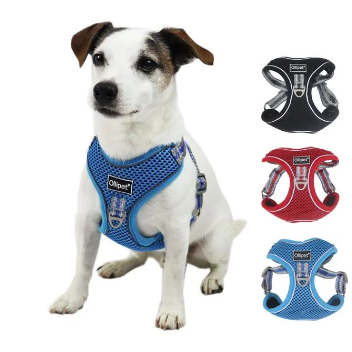 Ollipet Hundeseler> Duomm Air Mesh Step-In Sele | OUTLET