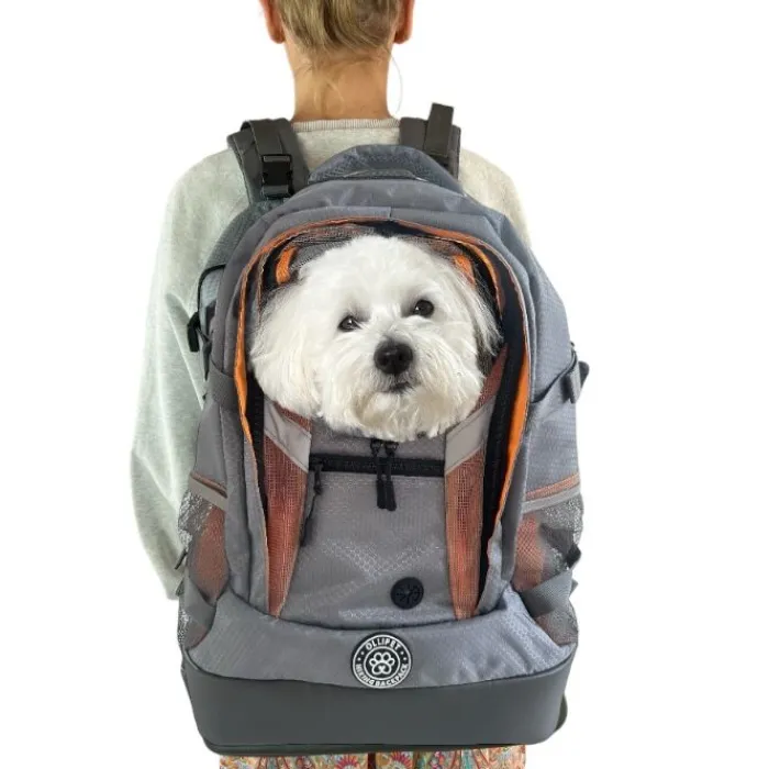 Ollipet Rygsæk Til Hunde> Hiking Backpack