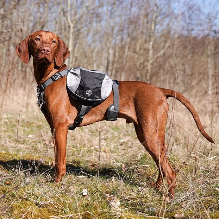 Ollipet Hundeseler> Hiking Gear Backpack