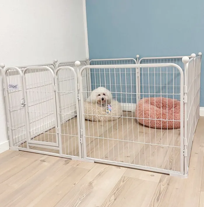 Ollipet Hvalpegård> Hvalpegård M. Stokke Og Gulvbeskytter | 60cm. Høj | 2. Sortering