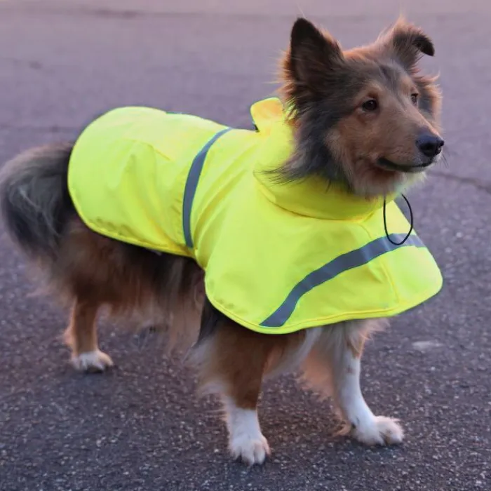 Ollipet Hundetøj> Outdoor Rain Shield