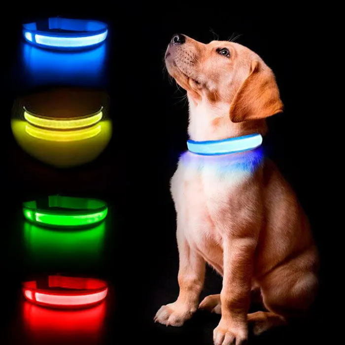 Ollipet Hundehalsbånd | Led Lys Og Refleks> The Stripe LED Collar | Halsbånd Med Lys