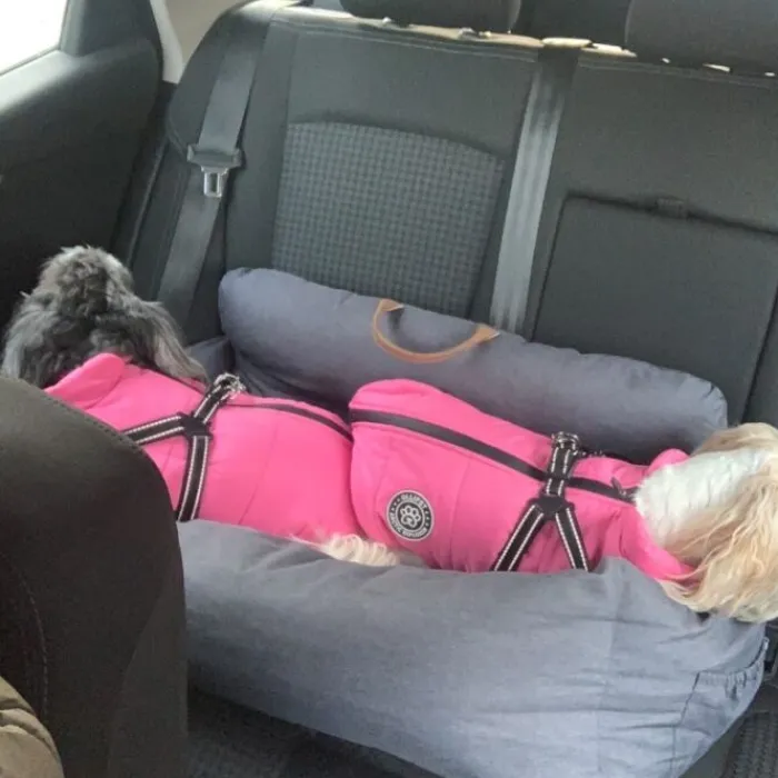 Ollipet Biltransport Af Hund> XL Comfort Autosæde | Til 2 Små Hunde