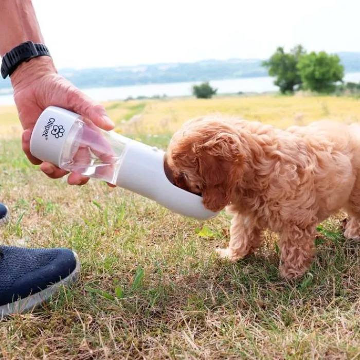 Ollipet Madskål Og Vandskål>Pet Water Cup | 2i1