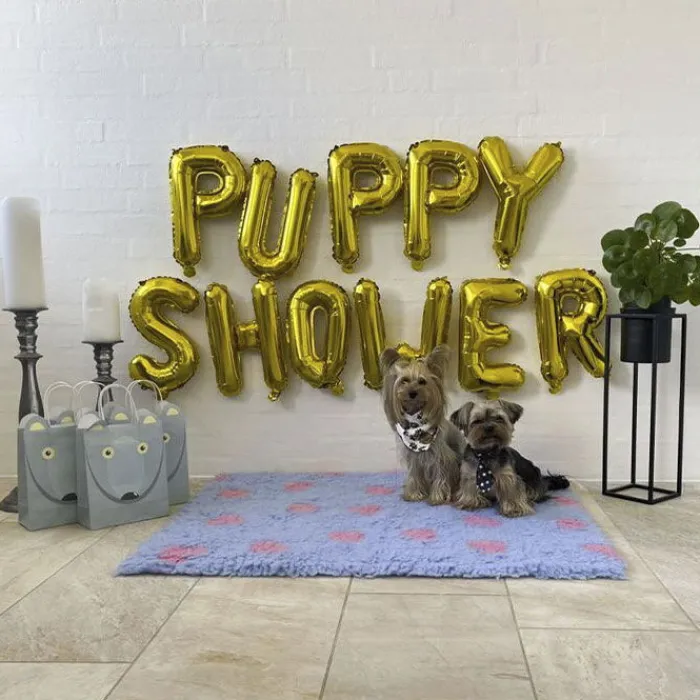 Ollipet Puppy Shower Party>Puppy Shower Ballon