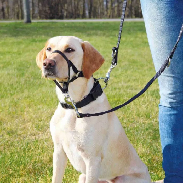 Trixie Hundeseler | Hundetræning Og Klikker>Top Trainer Snudesele