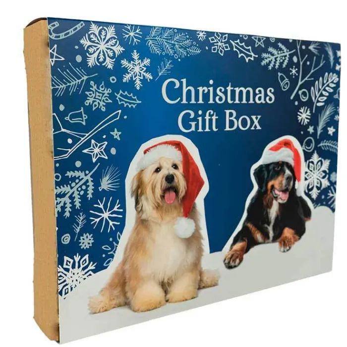 Treateaters Godbidder Og Gnaveben | Plyslegetøj Til Hunde> Christmas Gift Box