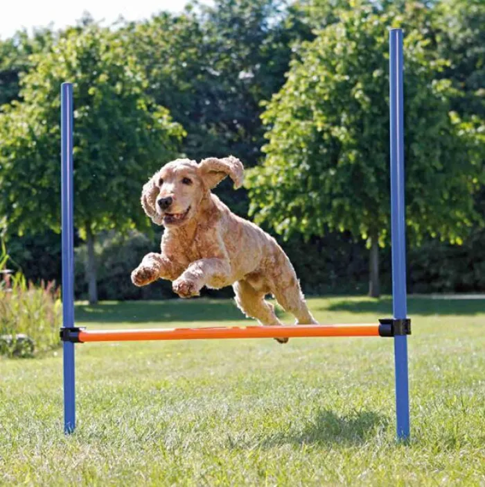 Trixie Trixie Hundelegetøj | Hundetræning Og Klikker> Agility Hurdle | Agility Forhindring