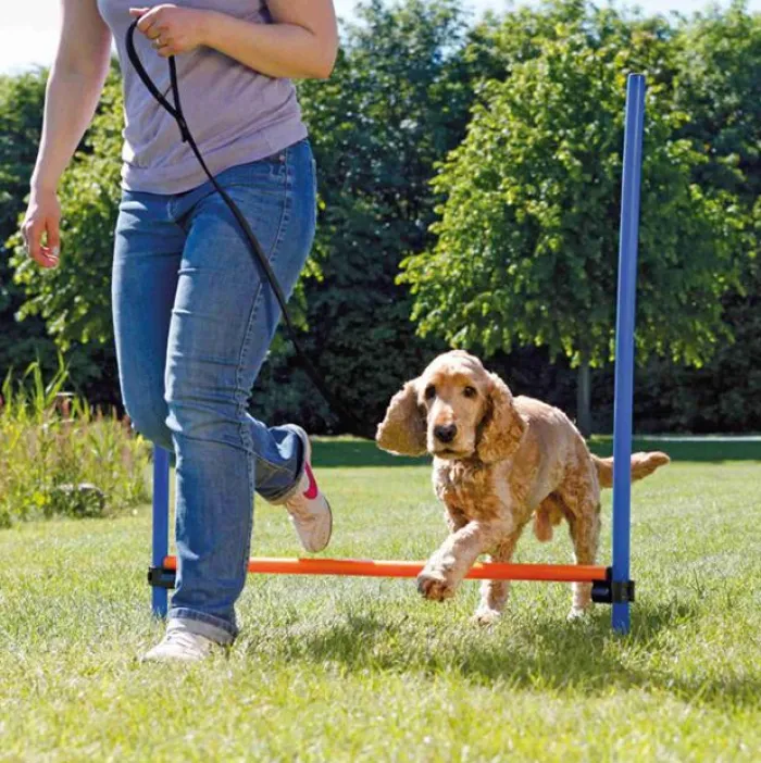 Trixie Trixie Hundelegetøj | Hundetræning Og Klikker> Agility Hurdle | Agility Forhindring