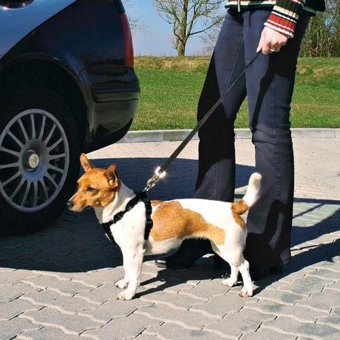 Trixie Hundeseler | Biltransport Af Hund> Bilsele | Sikkerhedssele I ét