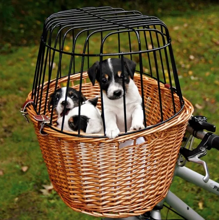 Trixie Cykelkurv Til Hund> Cykelkurv Naturflet Med Gitter