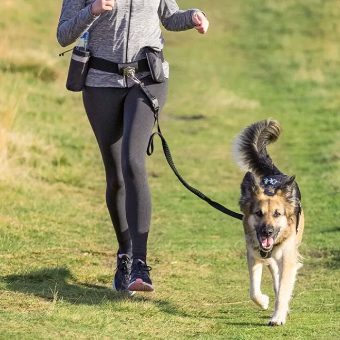 Trixie Hundesnor | Hundetræning Og Klikker> Håndfri Line Og Bæltetaske