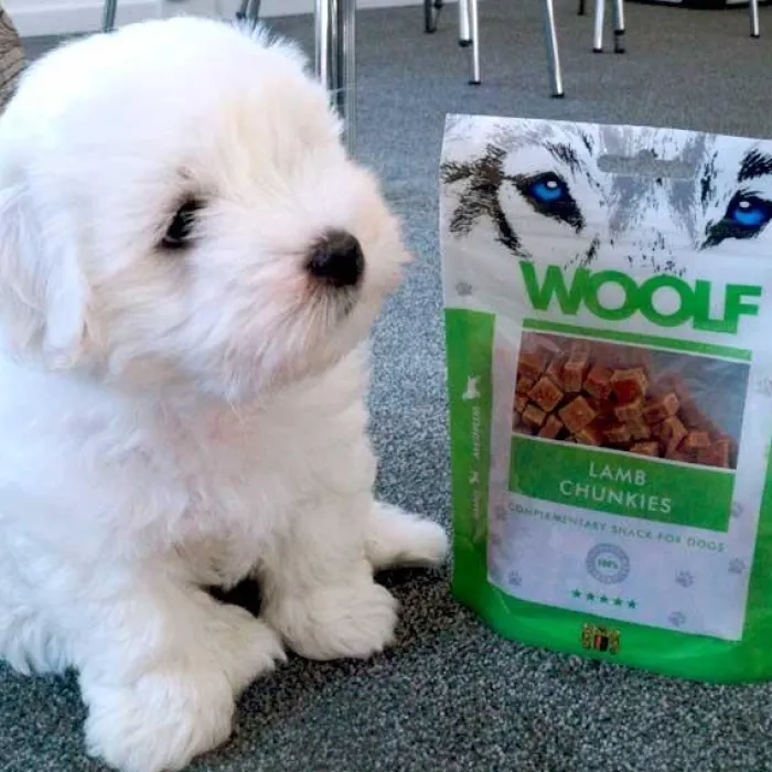 WOOLF Godbidder Og Gnaveben> Lamb Chunkies | 100g